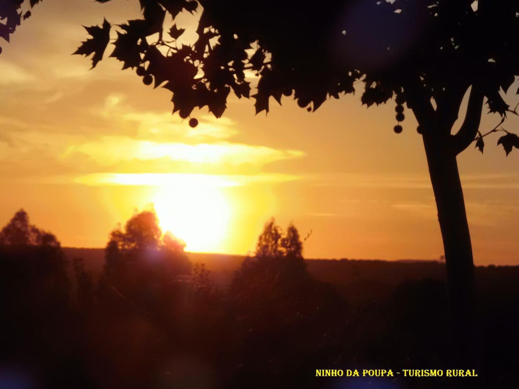 Ninho Da Poupa Guest House Serpa Exterior photo