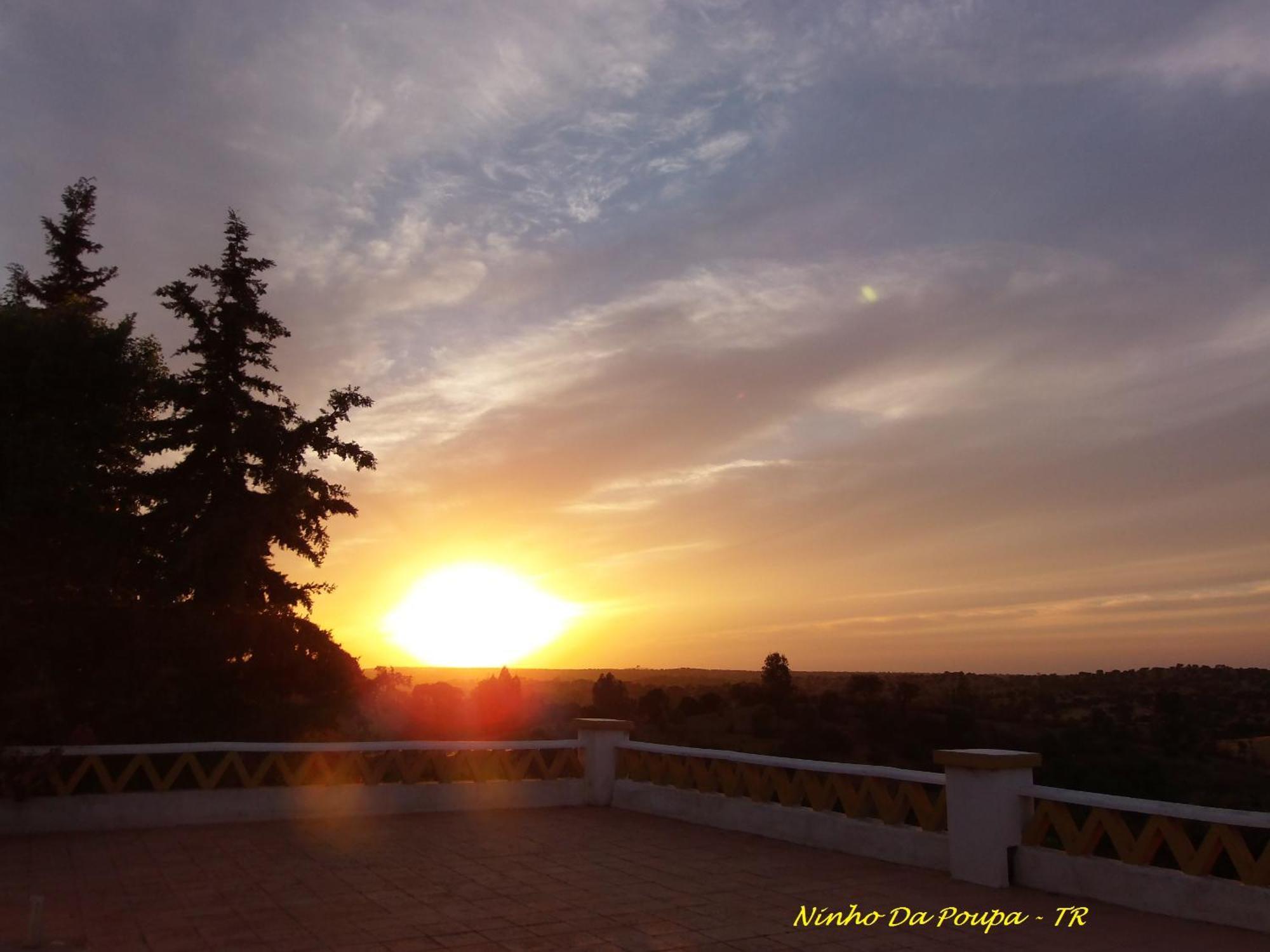Ninho Da Poupa Guest House Serpa Exterior photo